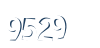 Input this protected code