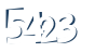 Input this protected code