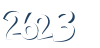 Input this protected code