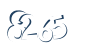 Input this protected code
