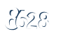 Input this protected code