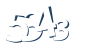 Input this protected code