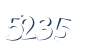 Input this protected code