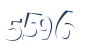 Input this protected code