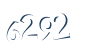 Input this protected code