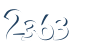 Input this protected code