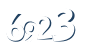 Input this protected code