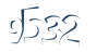 Input this protected code