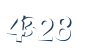 Input this protected code