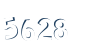 Input this protected code