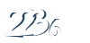 Input this protected code
