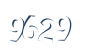 Input this protected code