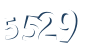 Input this protected code