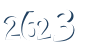 Input this protected code