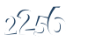 Input this protected code
