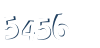 Input this protected code