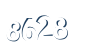 Input this protected code