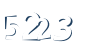 Input this protected code