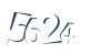 Input this protected code