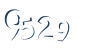 Input this protected code