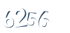 Input this protected code