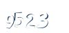Input this protected code