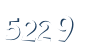 Input this protected code