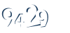 Input this protected code