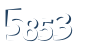 Input this protected code