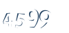 Input this protected code