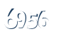 Input this protected code