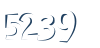 Input this protected code