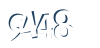 Input this protected code